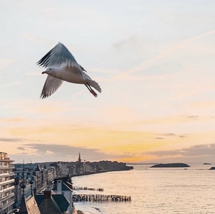 Saint-Malo une ville incontournable