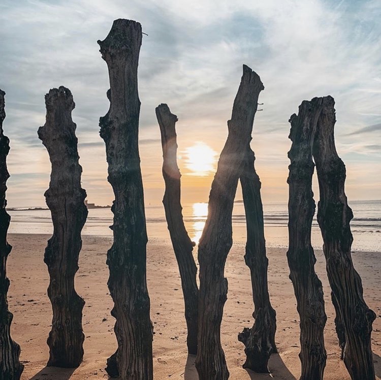 Les brises lames dans le sable sur la plage du sillon à Saint-Malo