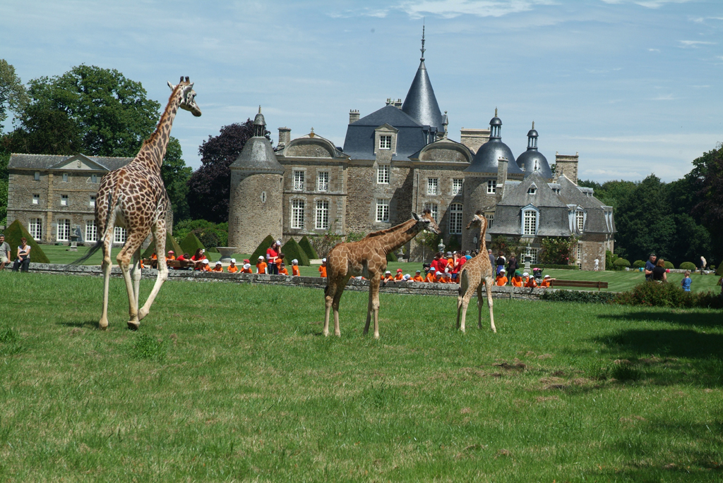 Château et zoo de la bourbansais